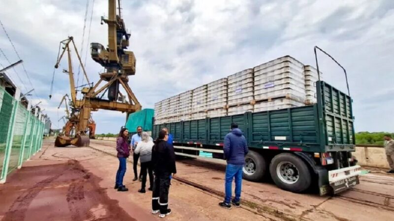 Exportan 22 toneladas de hilado de algodón a Paraguay
