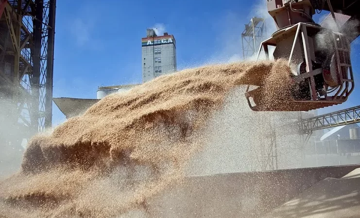 El Gobierno anunció la eliminación de retenciones a los granos hasta el 31 de octubre