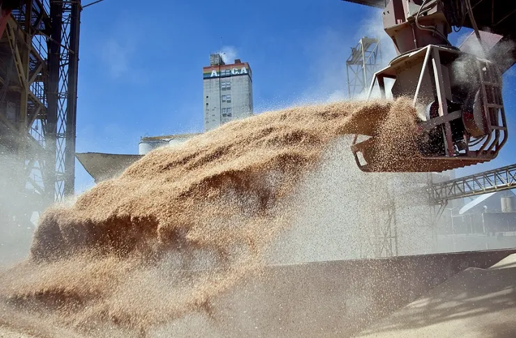 El Gobierno anunció la eliminación de retenciones a los granos hasta el 31 de octubre