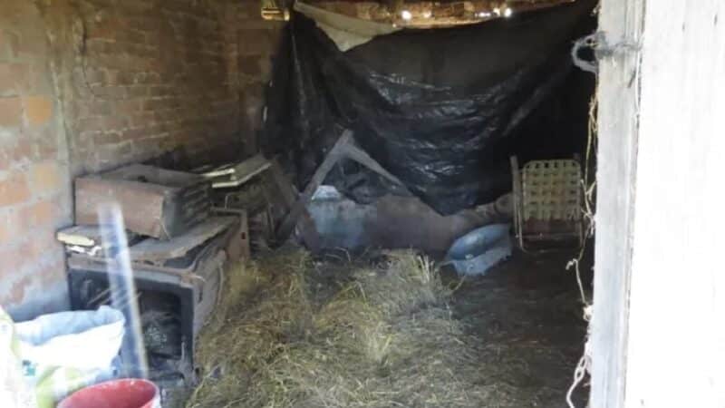 Rescatan a 30 trabajadores que eran explotados en Pozo Borrado
