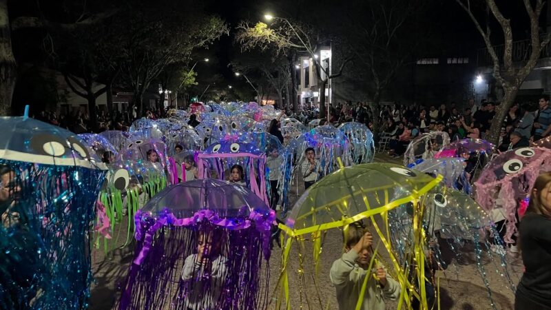La Fiesta Provincial del Desfile de Carrozas brilló en Romang