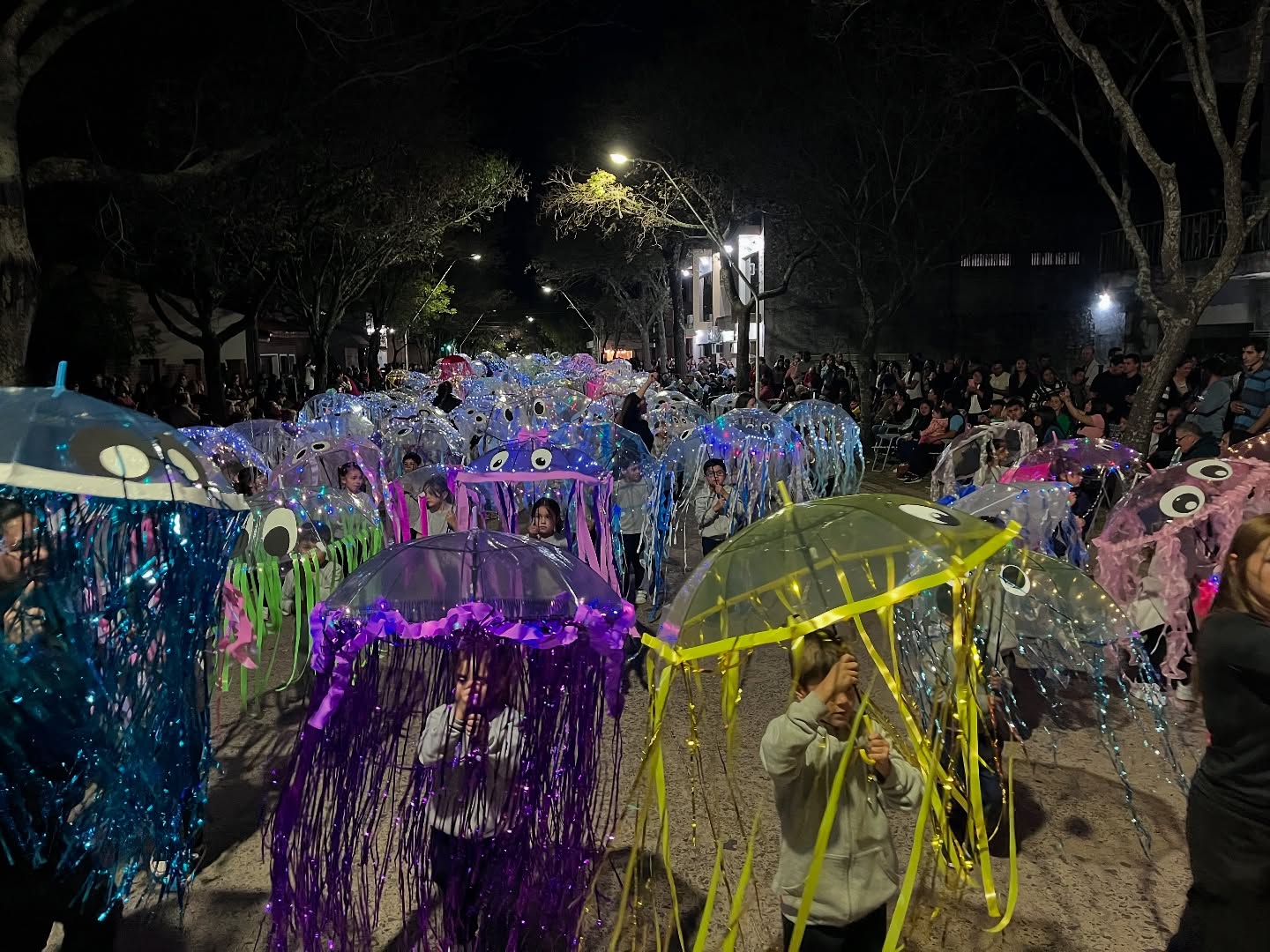 La Fiesta Provincial del Desfile de Carrozas brilló en Romang