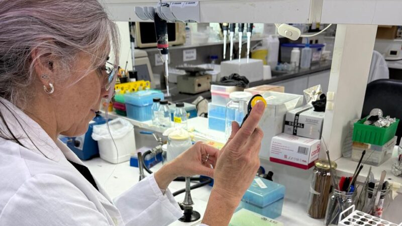 Una investigadora de Reconquista lidera un hallazgo contra la enfermedad de Chagas