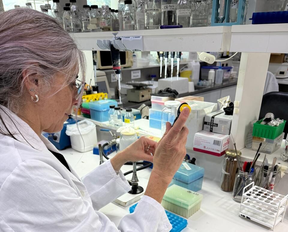 Una investigadora de Reconquista lidera un hallazgo contra la enfermedad de Chagas