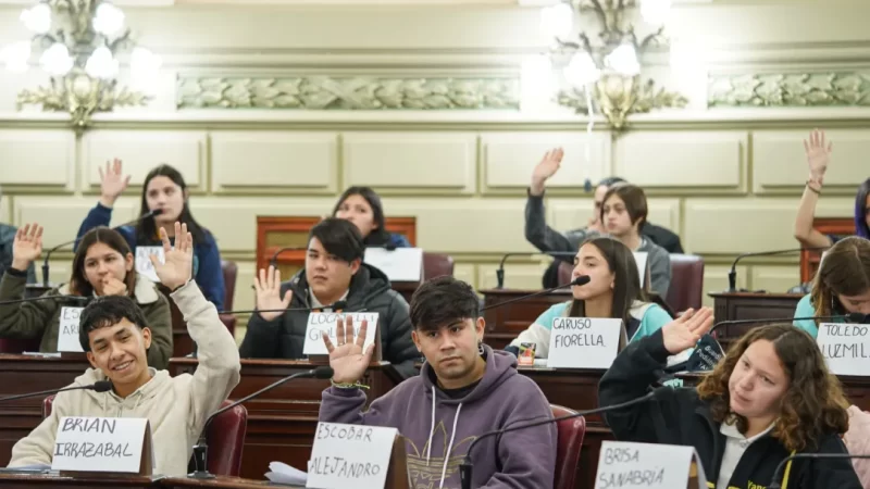 Alumnos de Vera participan del programa “Diputados por un día”