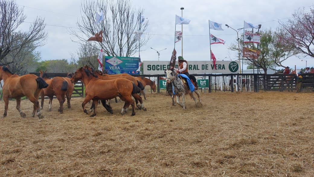 Competencia hípica reunió a caballos de todo el país y el exterior en Vera