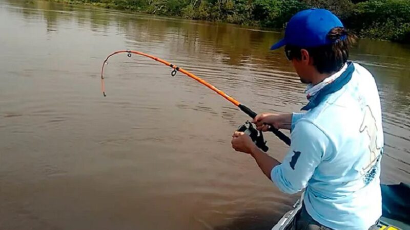 El gobierno de Santa Fe prohíbe la pesca de surubí hasta fin de año