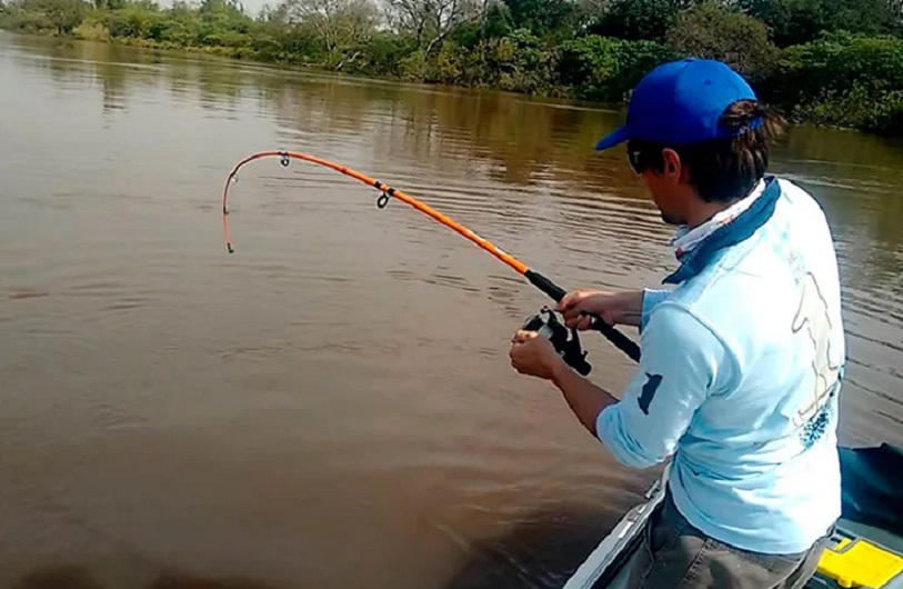 El gobierno de Santa Fe prohíbe la pesca de surubí hasta fin de año