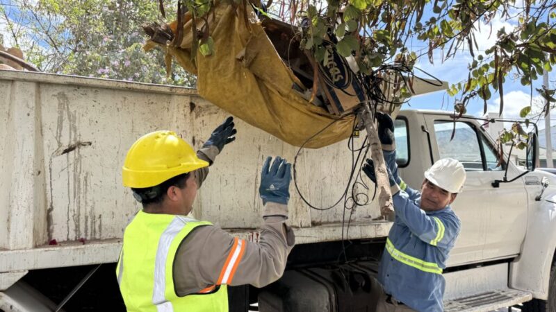 Avellaneda refuerza la campaña de descacharrado para prevenir el dengue