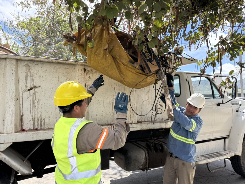 Avellaneda refuerza la campaña de descacharrado para prevenir el dengue