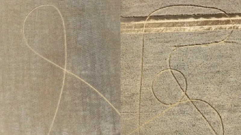 Aparecieron misteriosas figuras en campos del norte ¿qué dijeron los productores?