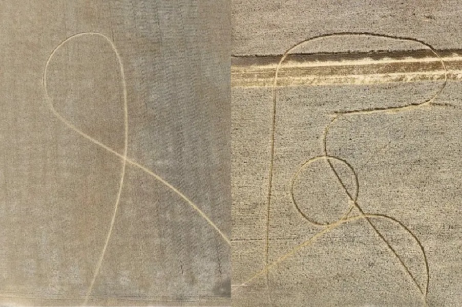 Aparecieron misteriosas figuras en campos del norte ¿qué dijeron los productores?