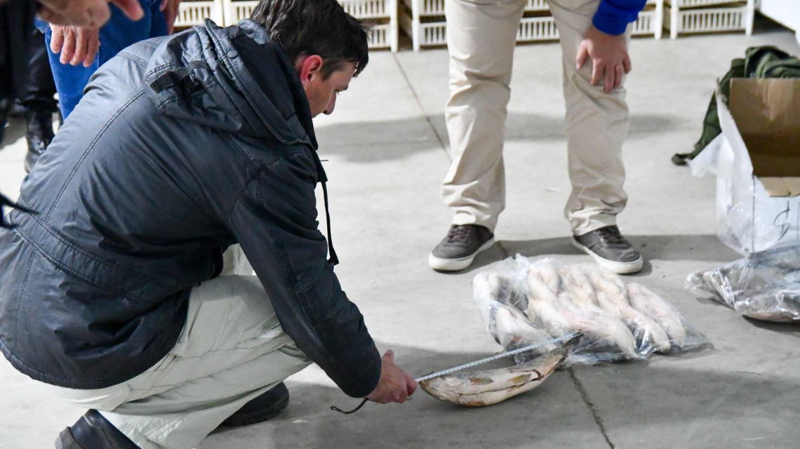 La provincia suspende el acopio de pescado para exportación por riesgo ecológico