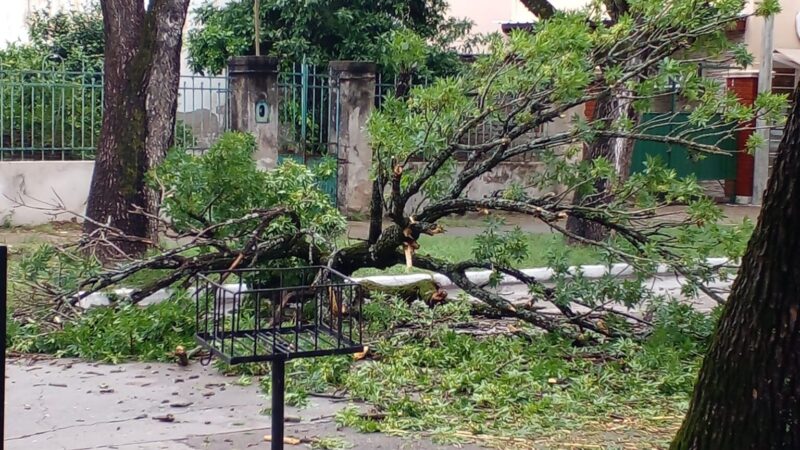 Temporal de lluvia, granizo y ráfagas de viento provocó destrozos en Reconquista y la región