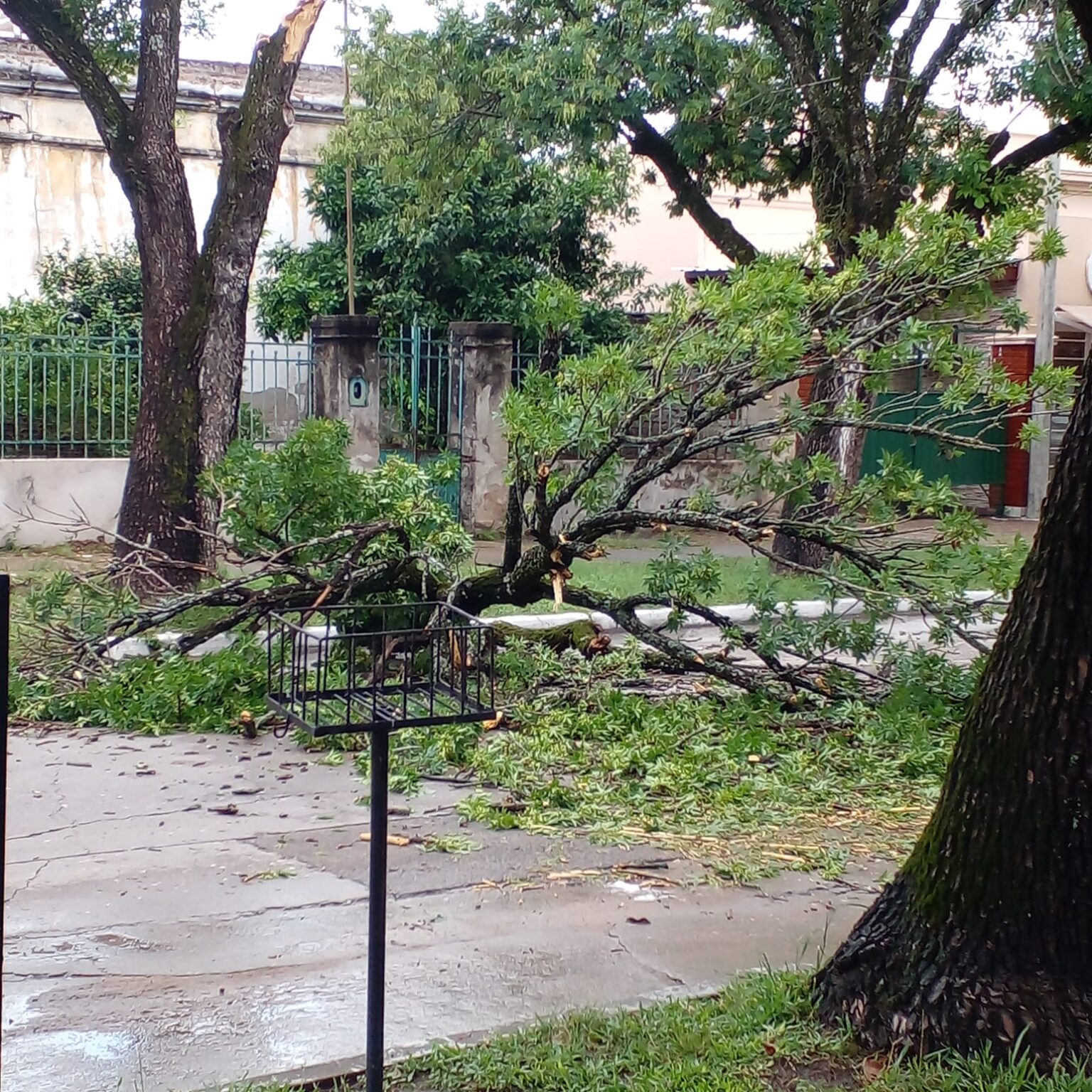 Temporal de lluvia, granizo y ráfagas de viento provocó destrozos en Reconquista y la región
