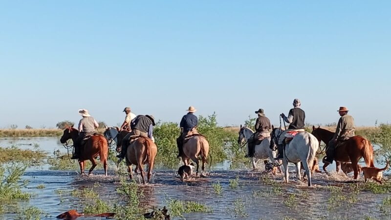 Productores trasladan hacienda en los Bajos Submeridionales por el avance del agua