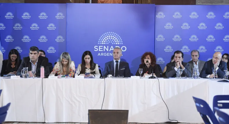 El Gobierno Nacional presentó en el Senado el proyecto de modificación de la Ley de Salud Mental