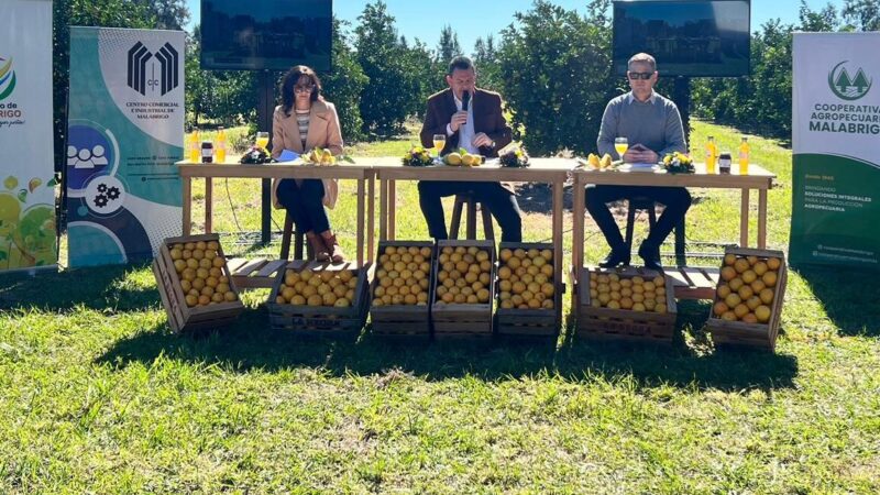 Presentaron una nueva edición de la Fiesta Provincial del Citrus en Malabrigo