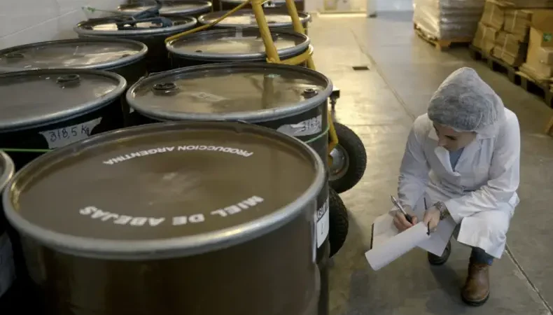 La Secretaría de Agricultura de la Nación reportó exportaciones de complejos regionales