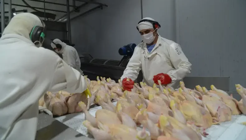 Argentina vuelve a exportar a la UE tras recuperar el estatus sanitario libre de influenza aviar