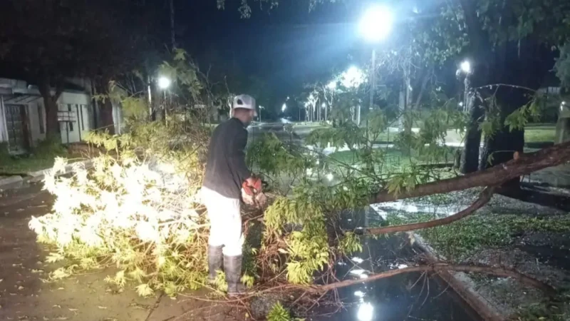 La Municipalidad de Reconquista continúa con las tareas de limpieza tras el temporal del fin de semana