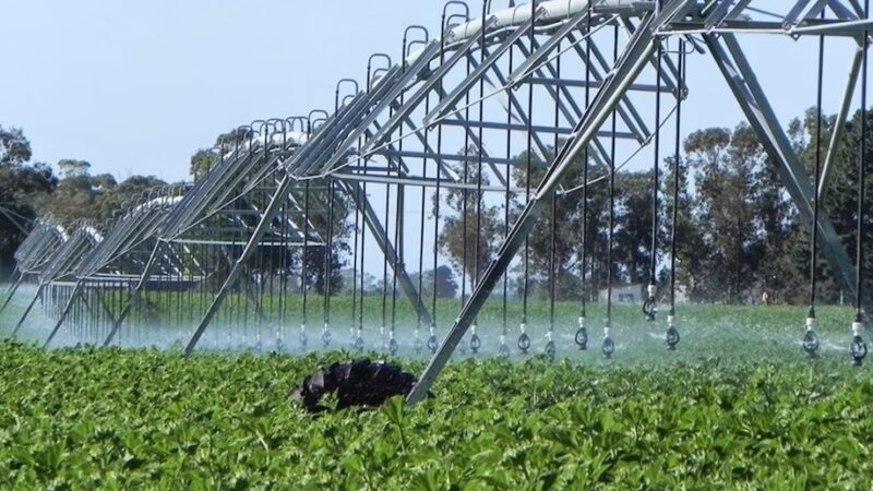 Crearon un nuevo registro para fortalecer la producción agropecuaria bajo riego