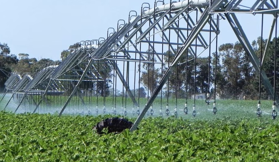 Crearon un nuevo registro para fortalecer la producción agropecuaria bajo riego
