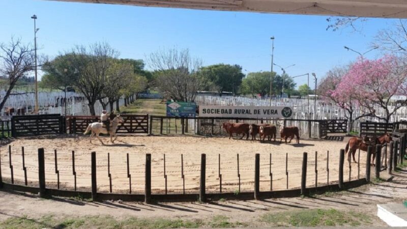 Vera vuelve a reunir al sector ganadero en el Gran Remate de Hacienda del Noreste