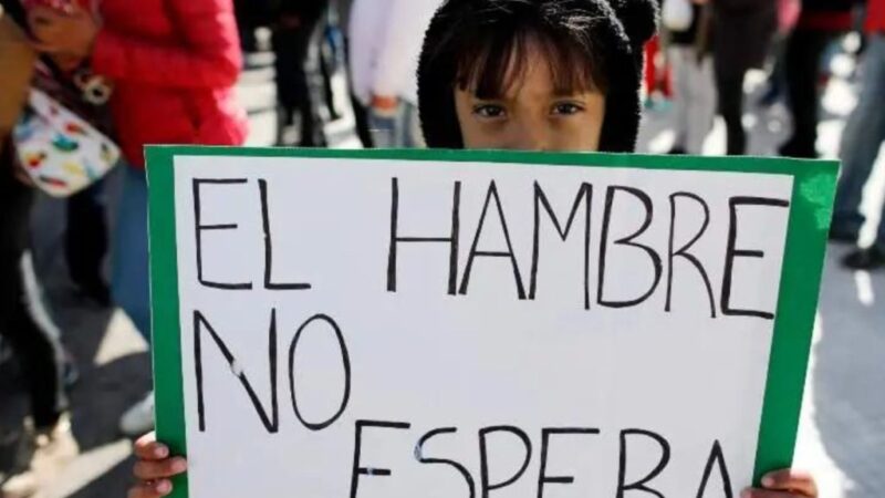 Argentina produce millones de toneladas de alimentos pero las personas sufren hambre, según el IASSA