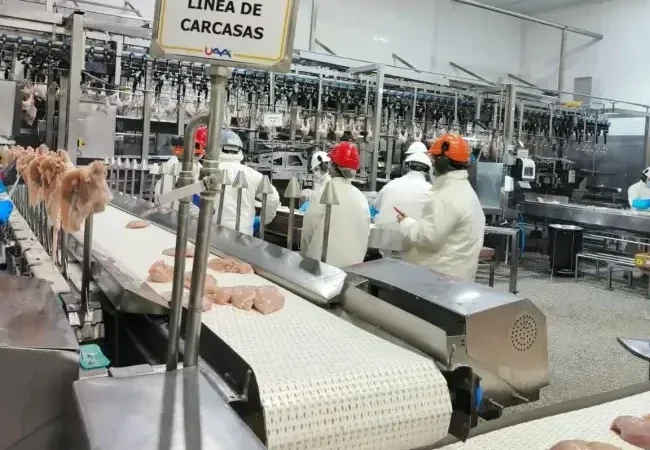 La Unión Agrícola de Avellaneda obtuvo una certificación internacional para su frigorífico de aves
