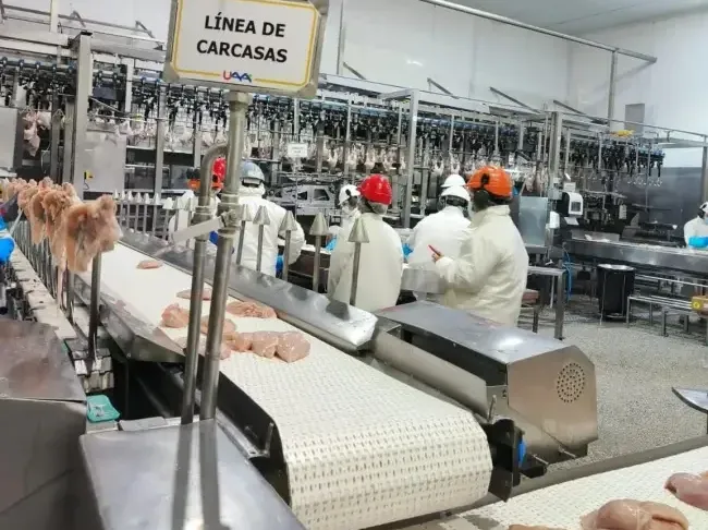La Unión Agrícola de Avellaneda obtuvo una certificación internacional para su frigorífico de aves