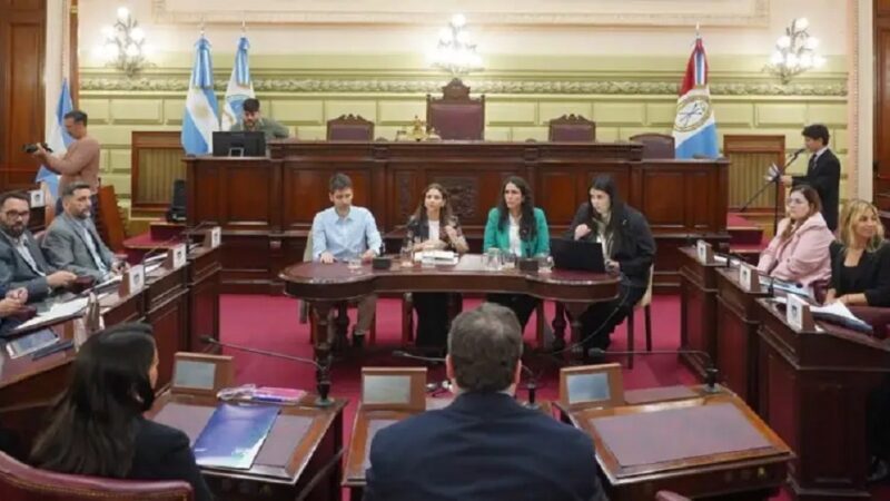 Endeudados: La Legislatura de Santa Fe debatió medidas para ayudar a las familias
