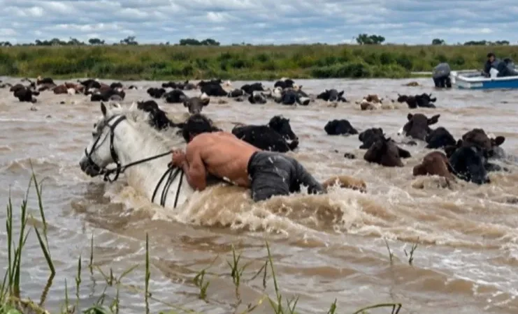 La crecida del río Paraná continúa generando preocupación en Reconquista
