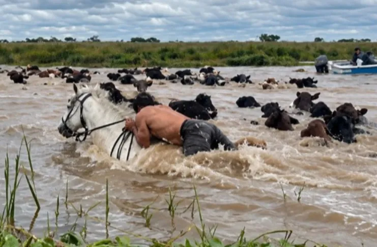 La crecida del río Paraná continúa generando preocupación en Reconquista