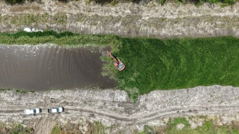 Avanzan las obras hídricas en Cañada Ombú y el canal Los Ingleses en La Cuña Boscosa