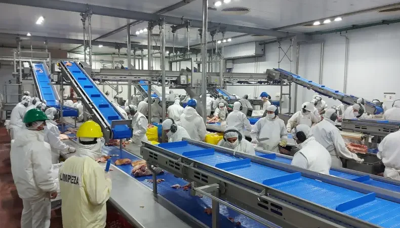 Crisis laboral en Reconquista: un frigorífico de cerdos despidió a 80 trabajadores tras suspender un turno