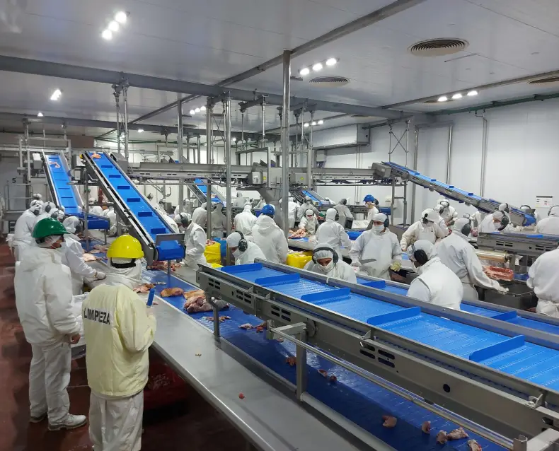 Crisis laboral en Reconquista: un frigorífico de cerdos despidió a 80 trabajadores tras suspender un turno